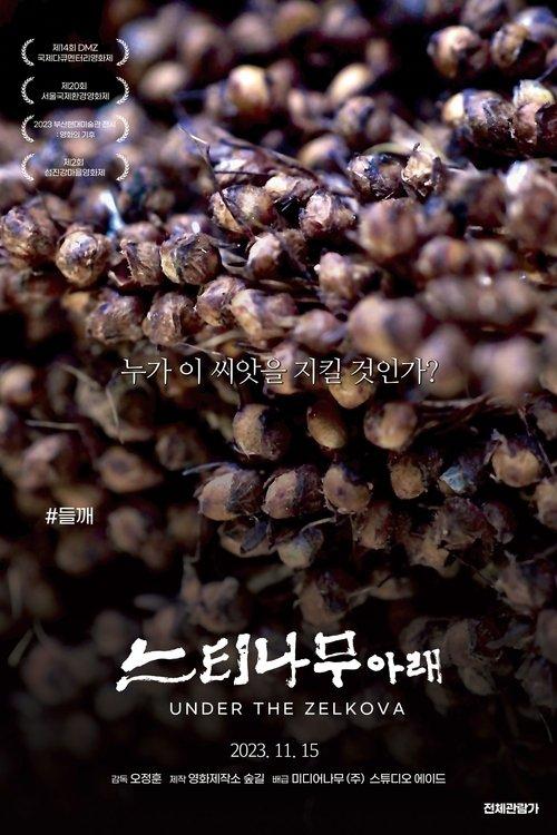 느티나무 아래
