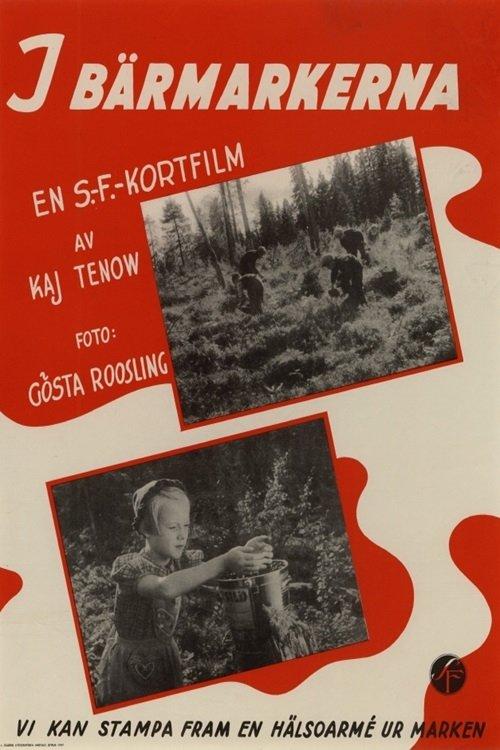 I bärmarkerna