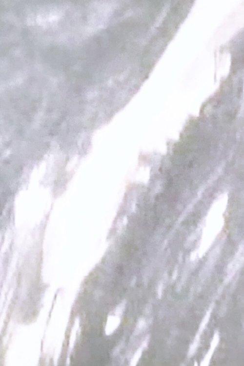 夢