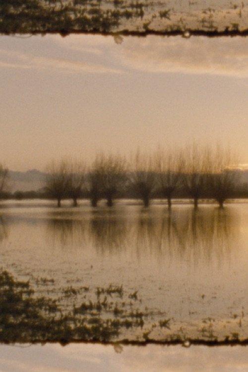 Landschap als Landschap 11