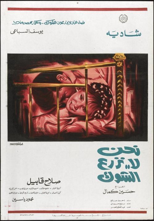 نحن لا نزرع الشوك
