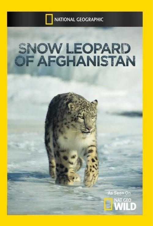 O Leopardo-das-Neves do Afeganistão