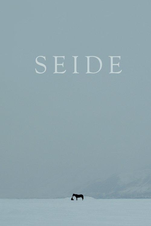 Seide