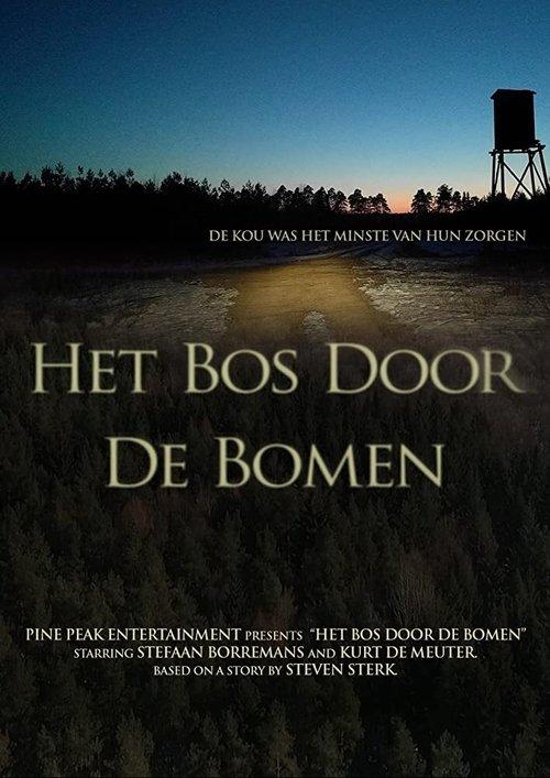Het Bos Door De Bomen