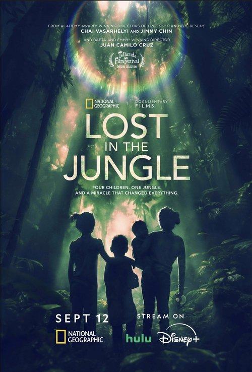 Lost in the Jungle