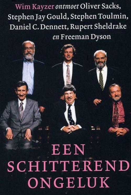 Een schitterend ongeluk