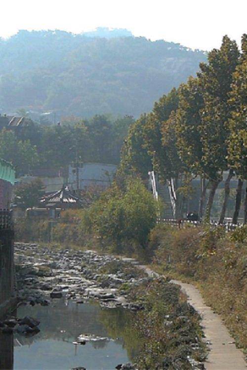이로 인해 그대는 죽지 않을 것이다