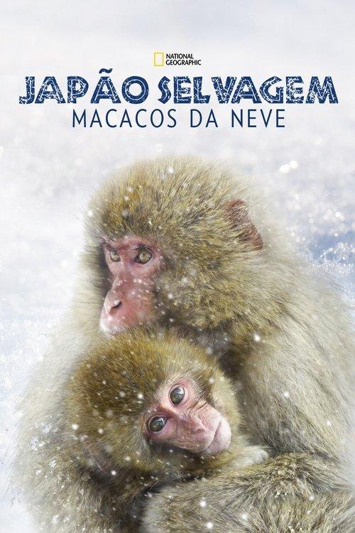 Japão Selvagem: Macacos da Neve