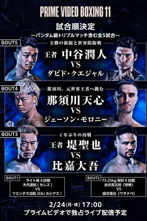 PRIME VIDEO BOXING 11