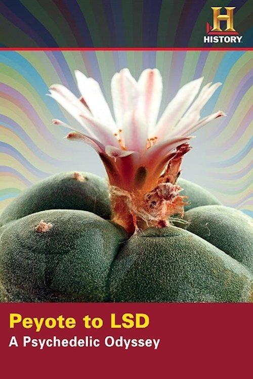 Peyote ao LSD: Uma Odisséia Psicodélica