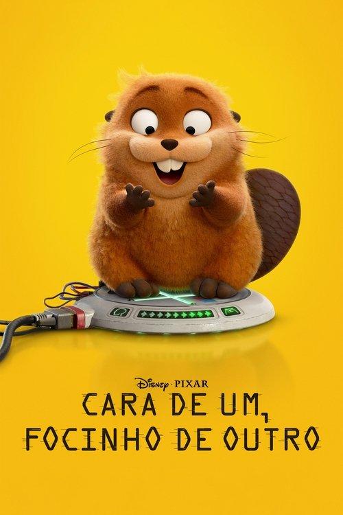 Cara de Um, Focinho de Outro