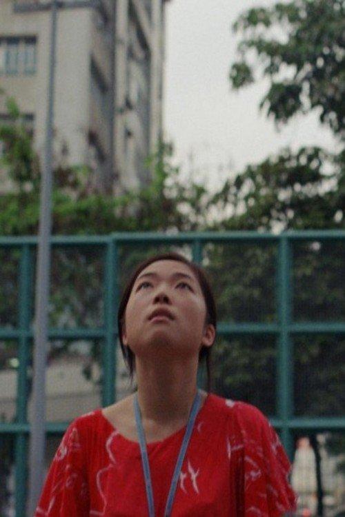 星星太陽月亮