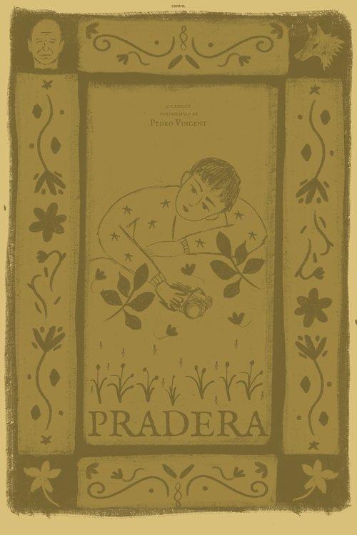 Pradera