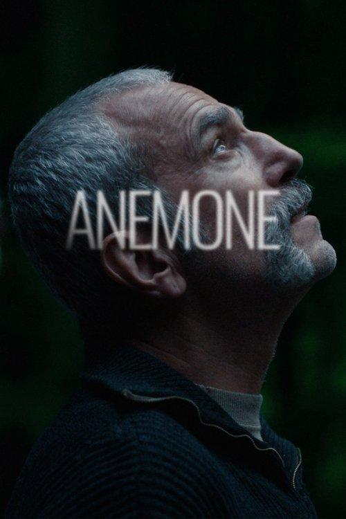 Anemone