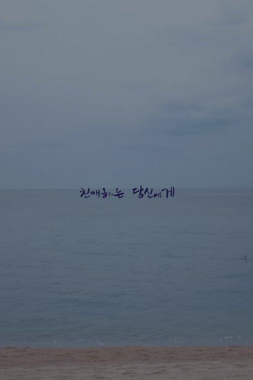 친애하는 당신에게