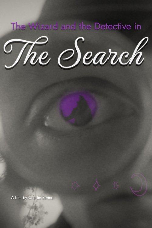 The Wizard and the Detective in the Search