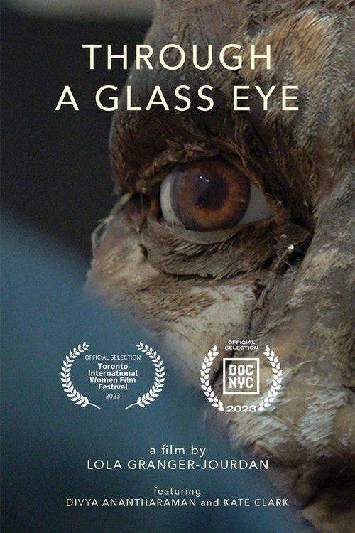 Through a Glass Eye