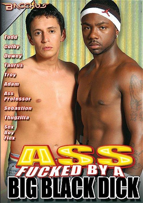 Ass Fucked by a Big Black Dick