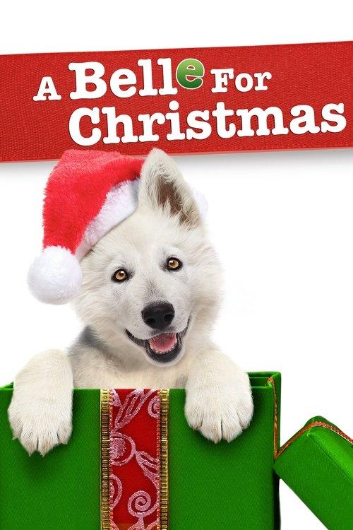 Uma Cachorrinha de Natal