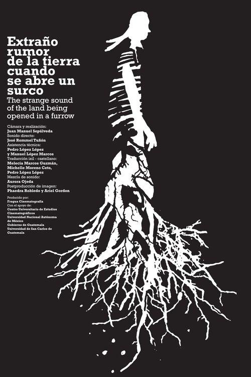 Extraño rumor de la tierra cuando se abre un surco