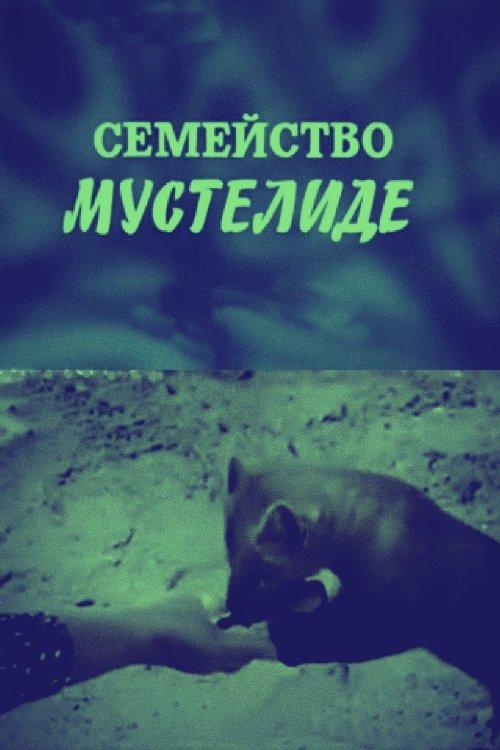 Семейство мустелиде