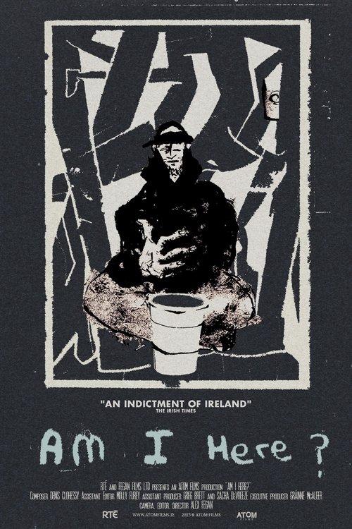 Am I Here? Homeless in Ireland