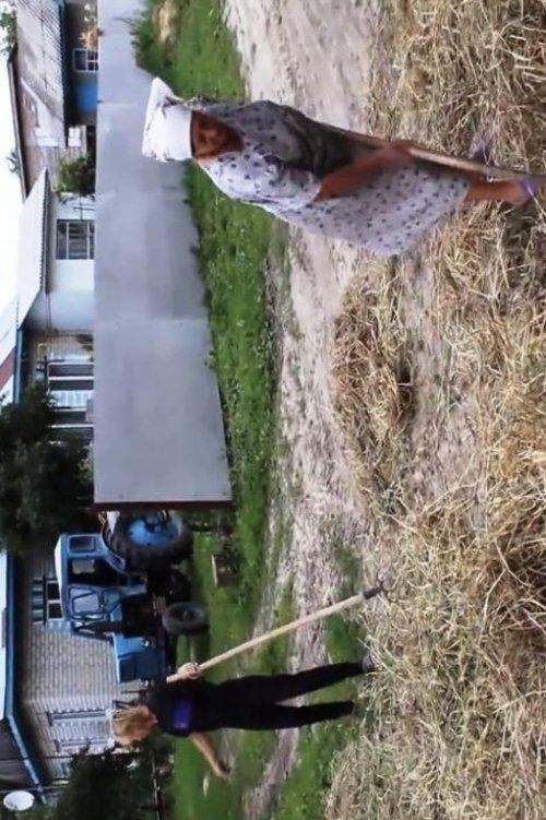 На этой стороне земли