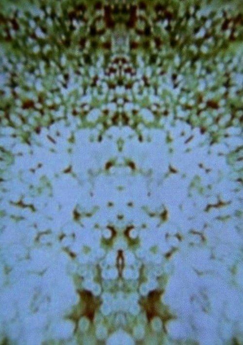 微尘