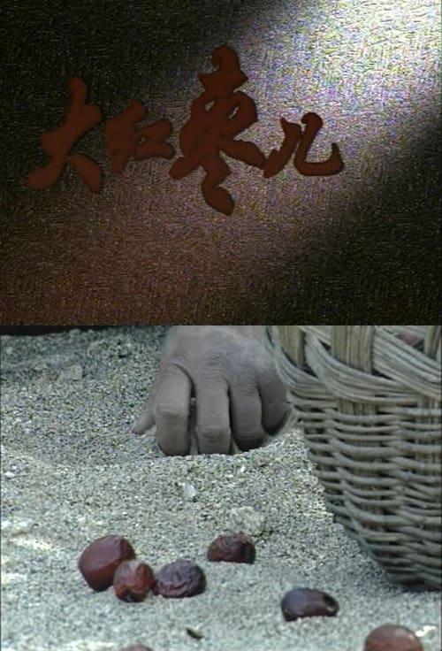大红枣儿