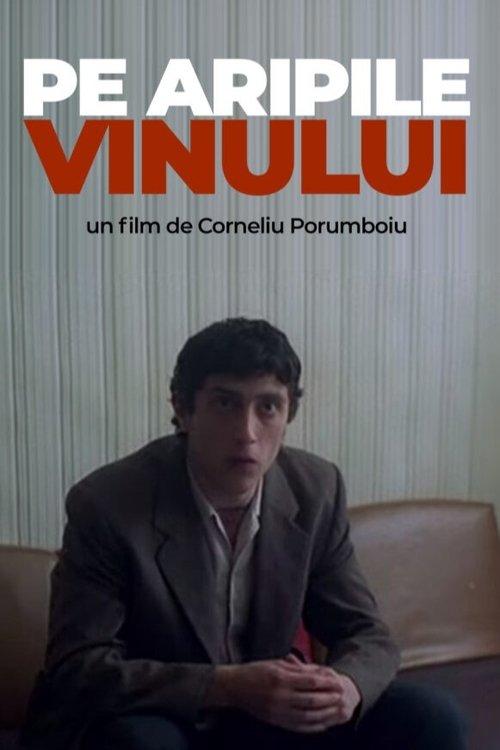 Pe aripile vinului
