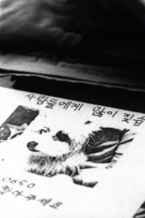 나무들이 봤어