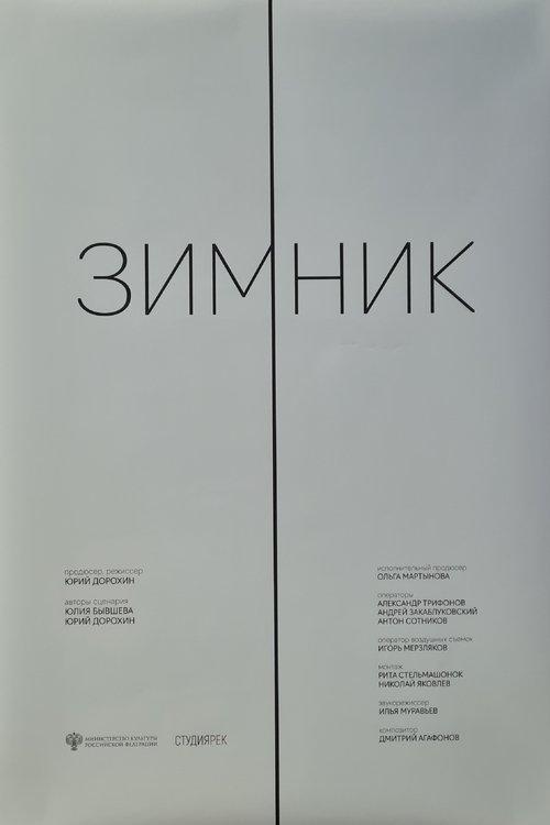 Зимник