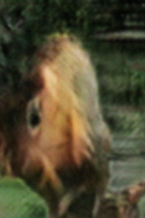 Untitled 2 (Kiss me.)