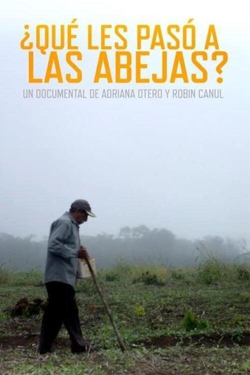 ¿Qué les pasó a las abejas?