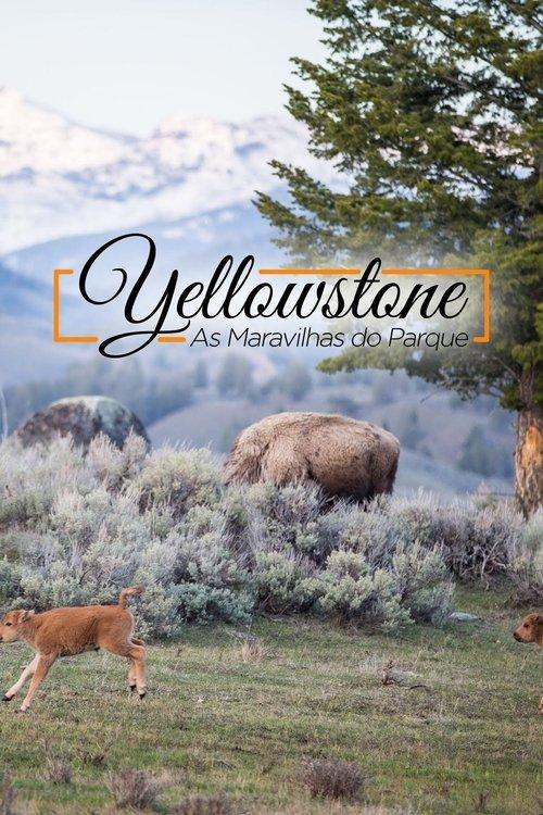Yellowstone - As Maravilhas do Parque
