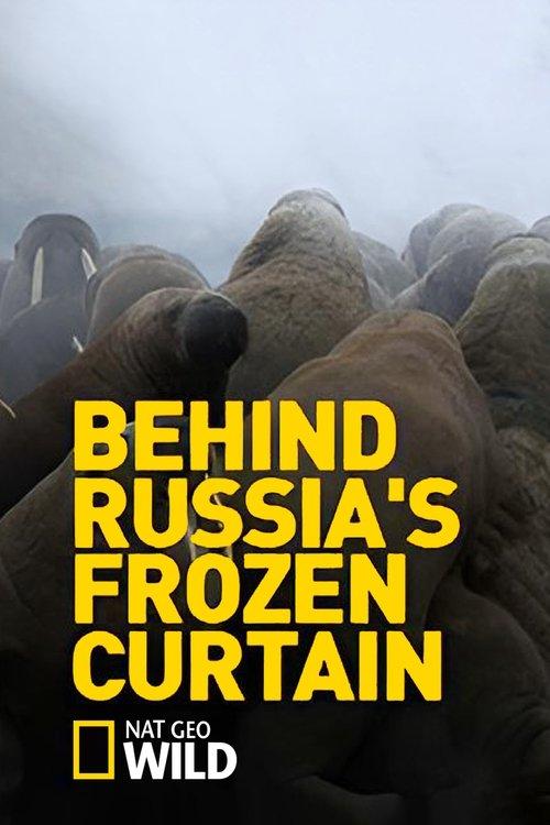 Descobrindo a Rússia Selvagem