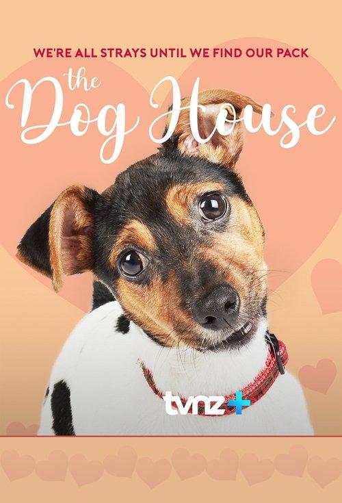 The Dog House NZ
