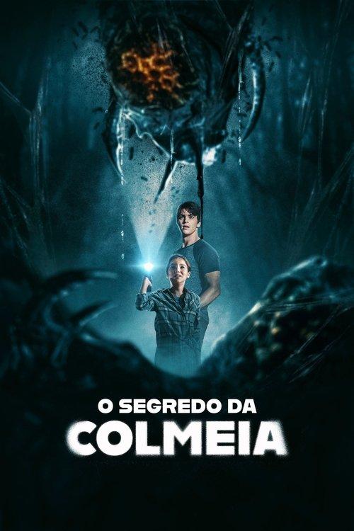 O Segredo da Colmeia
