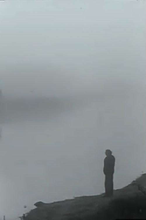 Aviečių laukai