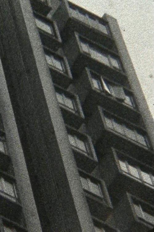 揺蕩