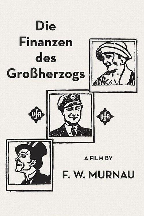 Die Finanzen des Großherzogs