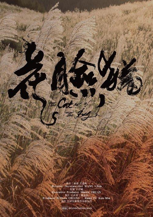 花臉貓