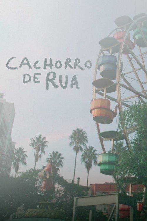 Cachorro de Rua
