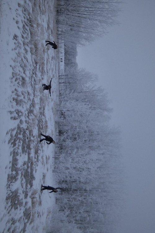 Soft Red Winter