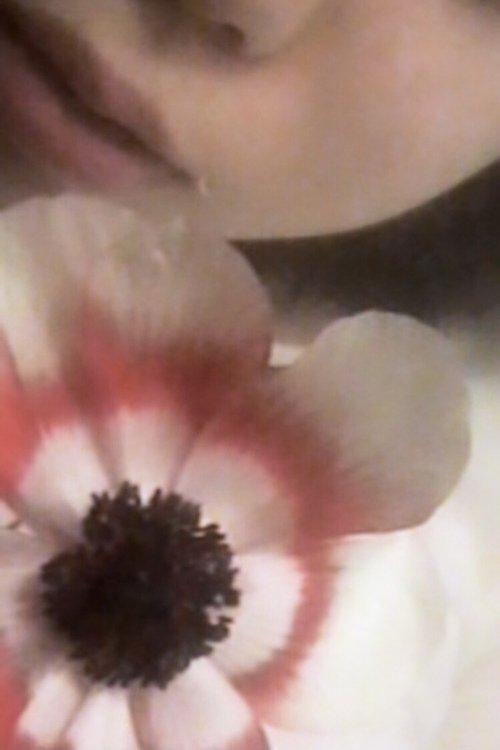 BEAUTIFUL MOMENTS