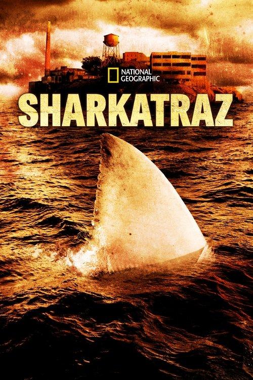 Tubarões de Alcatraz